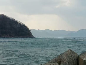 26년 1월 11일 조황