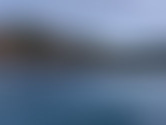 24년 10월 6일 조황