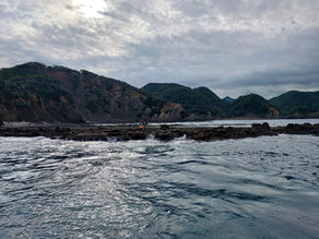 25년 9월 29일 조황