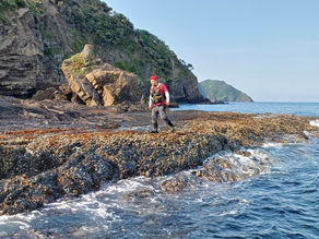 25년 5월 31일 조황