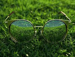 Eco-Friendly Glasses?