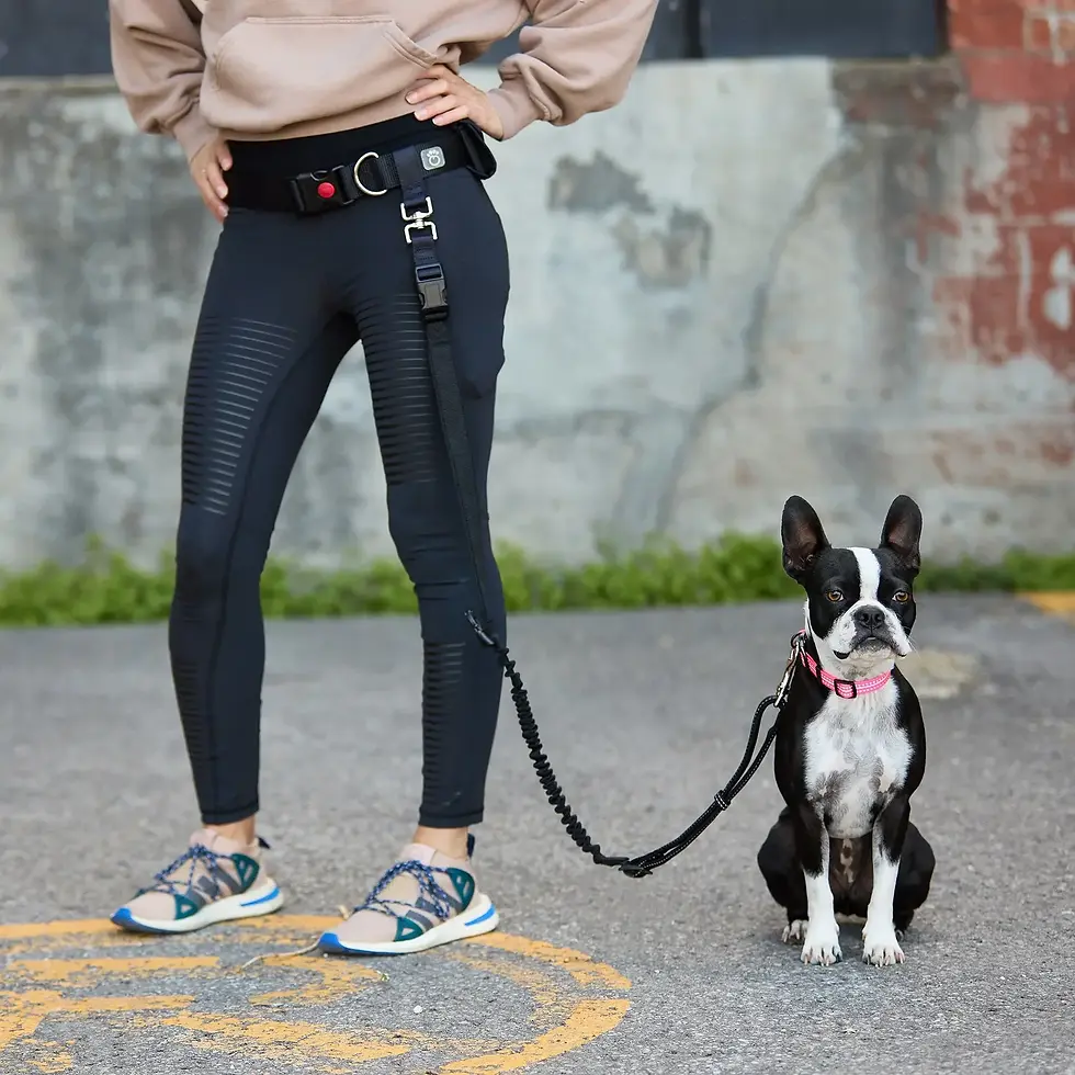Person in hoodie and leggings with hands on hips, standing next to a seated Boston Terrier on a leash. Urban background with graffiti.