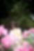 CF23DE5B-0D75-4F81-9505-7330589172D1.jpeg