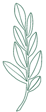leaf_edited.png