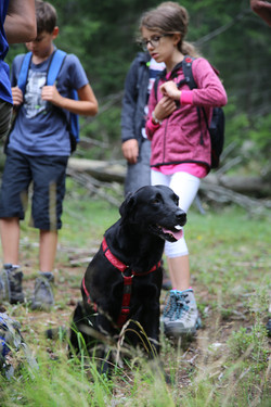 Campi Orion 2019