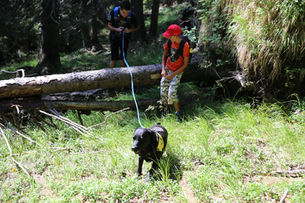 A scuola dal mondo animale