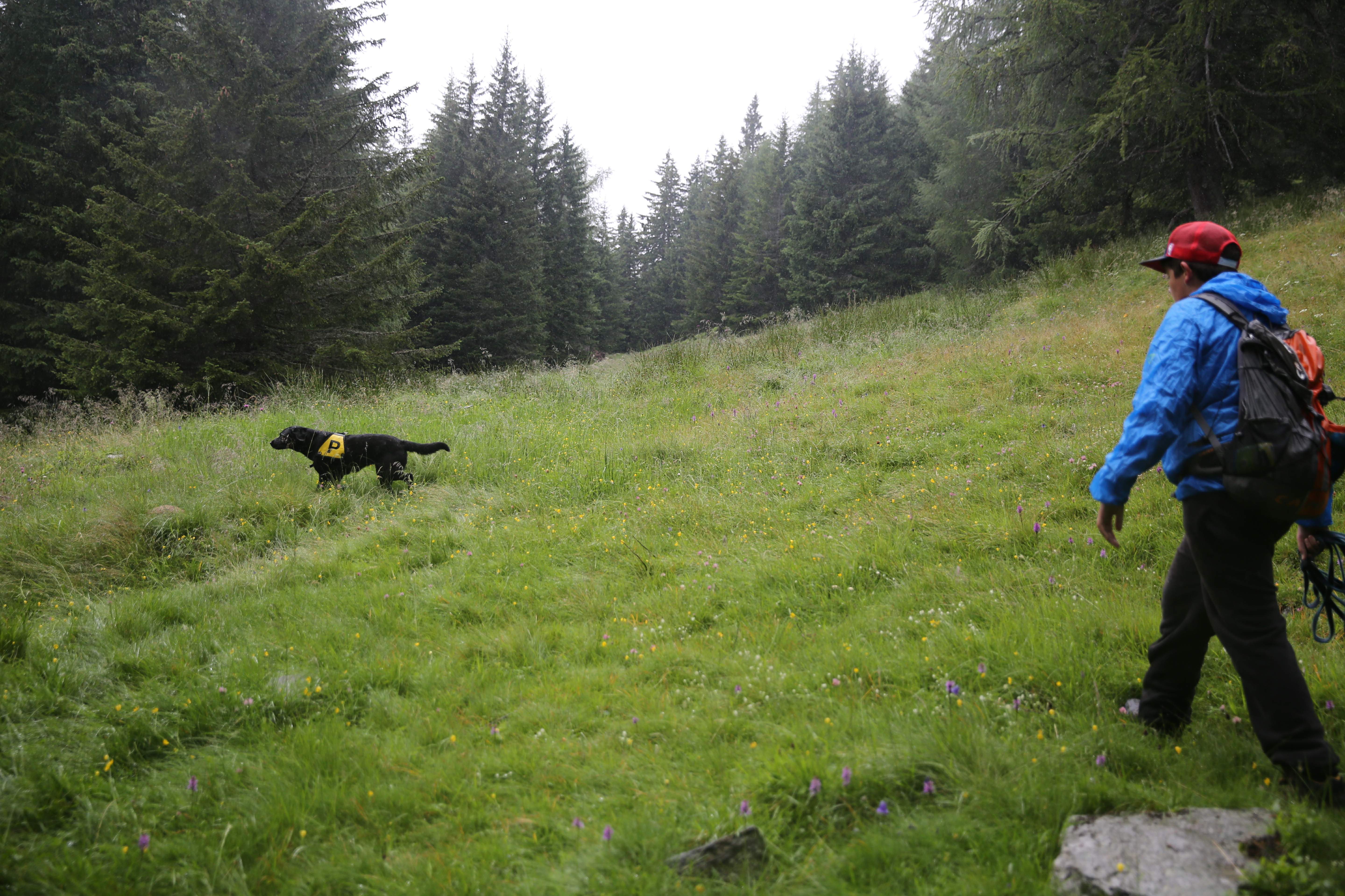 campi orion 2014