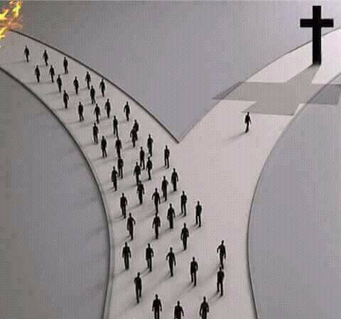 Which path will you take?