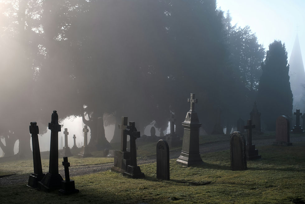 A graveyard with many graves