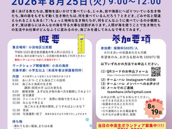 8月25日(火)こども海ほごく⑤「海ごみと海底の生き物」開催!