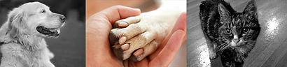 Caring Hearts Pet Cremation