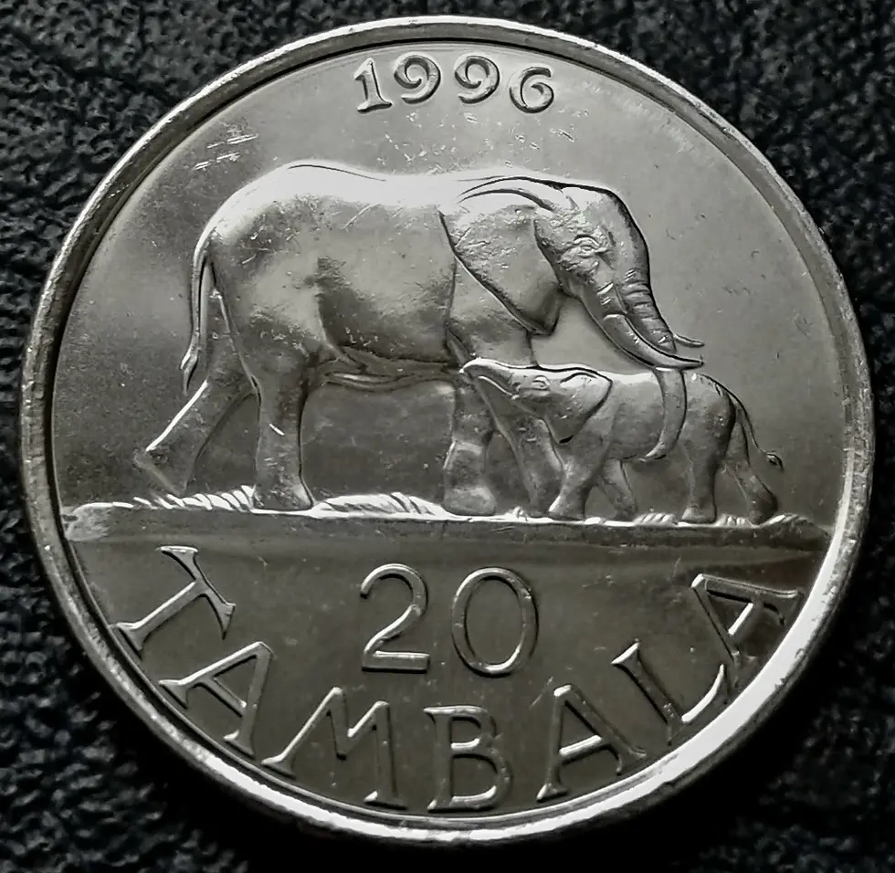 Thumbnail: Malawi 20 tambals of 1996