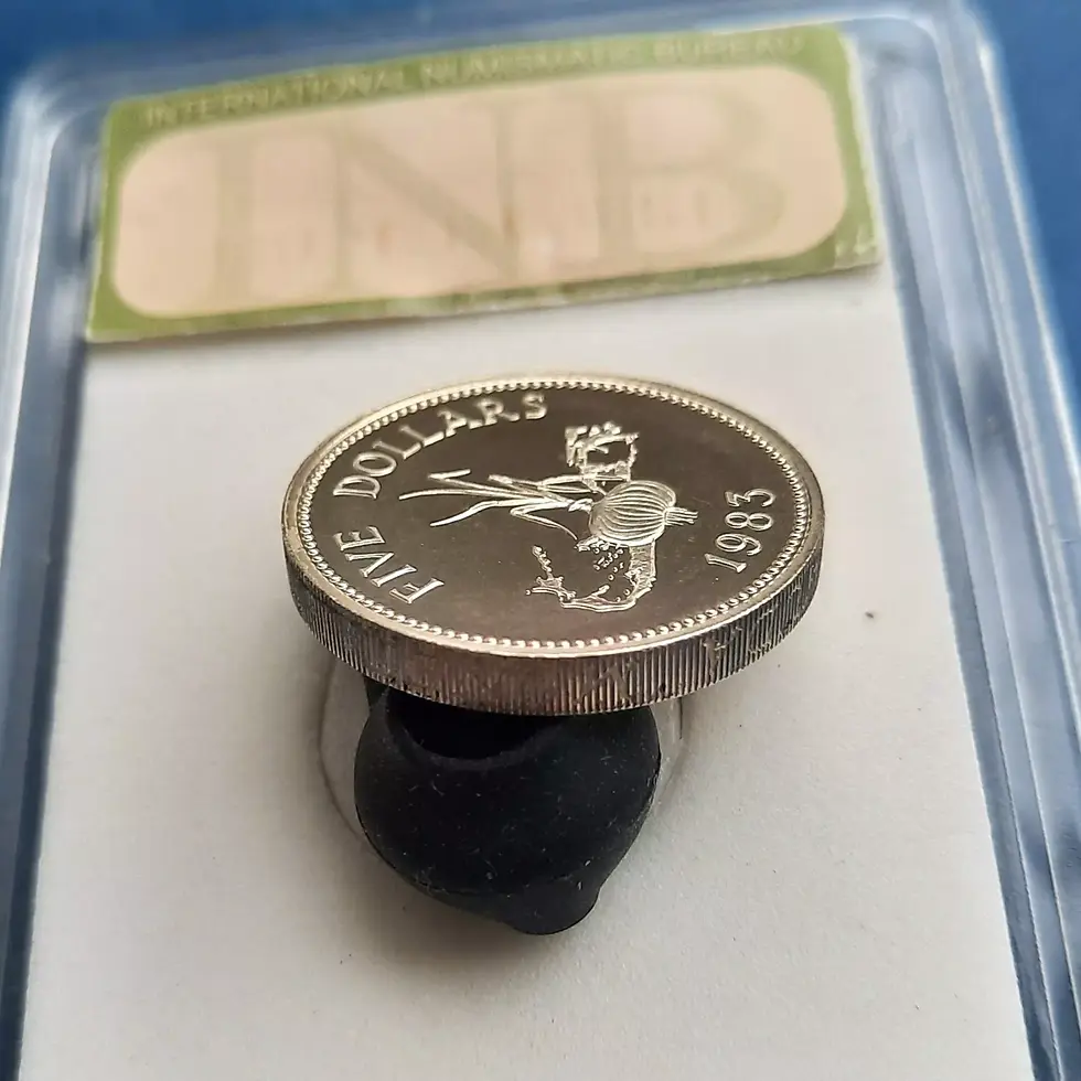 Прев'ю: Бермудські острови 5 доларів 1983 PF