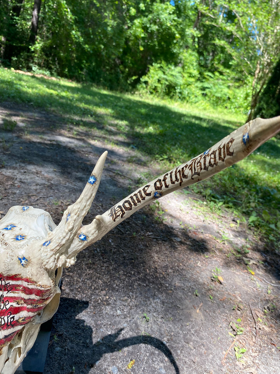 Thumbnail: We the People Deer Skull
