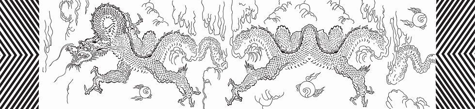estampa dragón blanco y negro