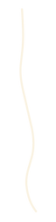 Untitled design.png