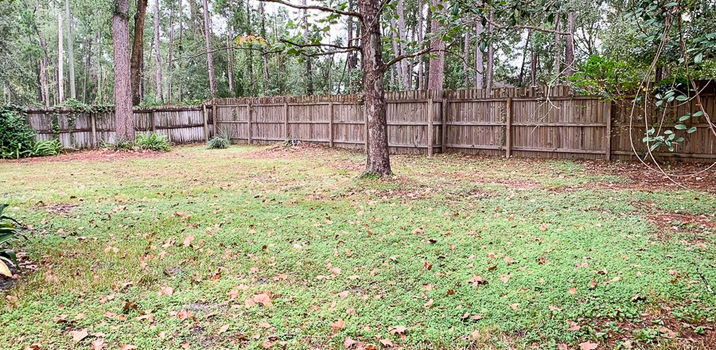 Green grass backyard with a wooden fence and tree in the middle