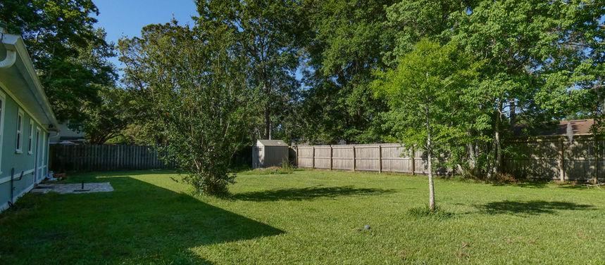 Green backyard with trees and a fence on a sunny day.