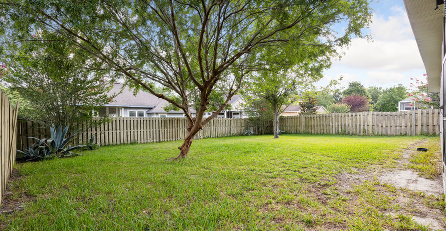 Green backyard with a fence and a tree, Belmont $350,000, sunny day.