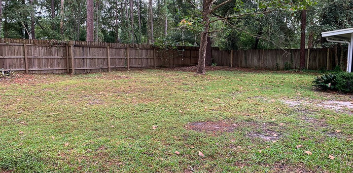 Grassy backyard with wooden fence and trees in the background, plain.