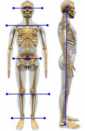 posture adjustment howard county