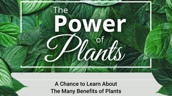 The Power Of Plants with Vicki Rand