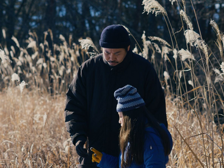 New York Film Festival: Evil Does Not Exist (2023) Review