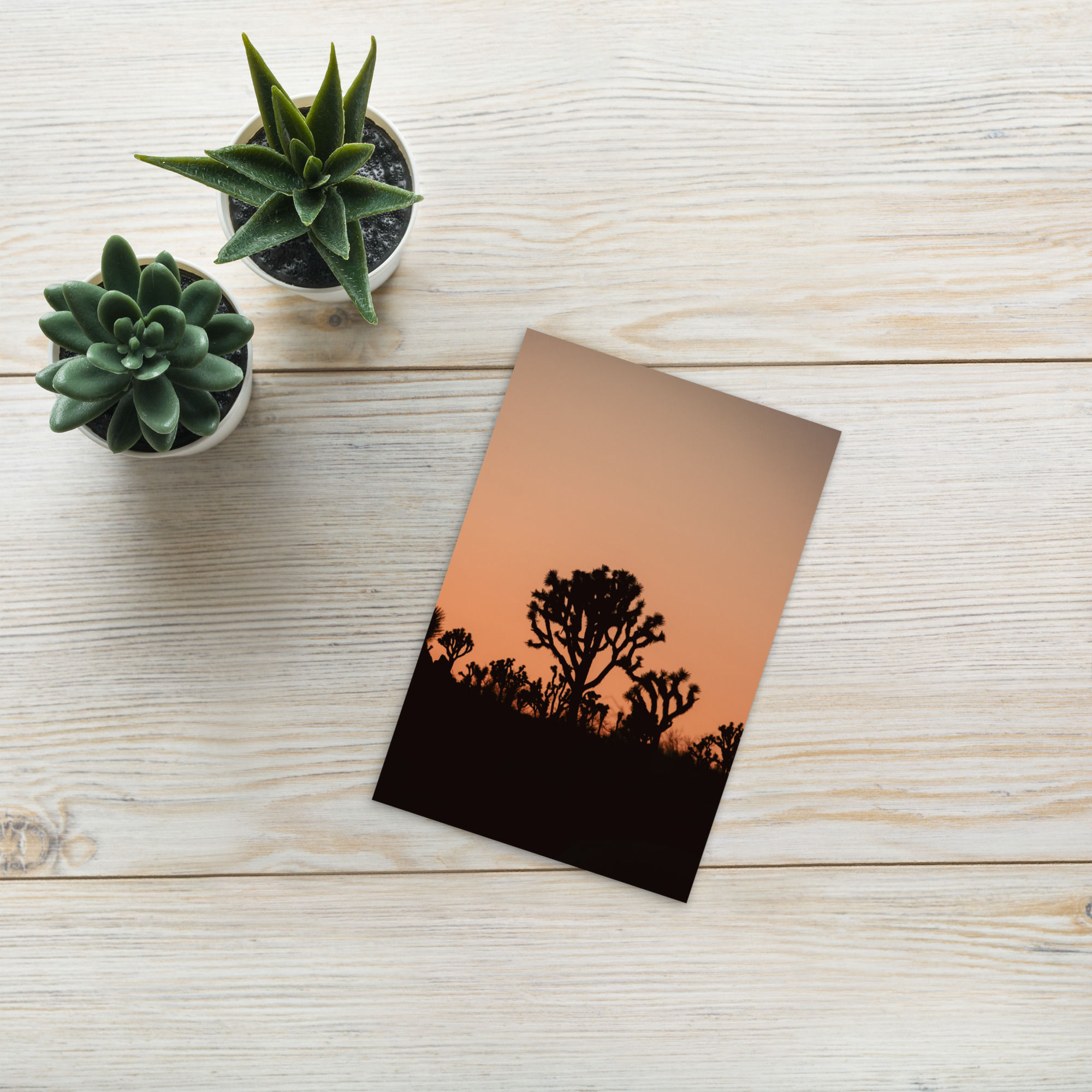 Joshua Tree Silhouettes Postcard