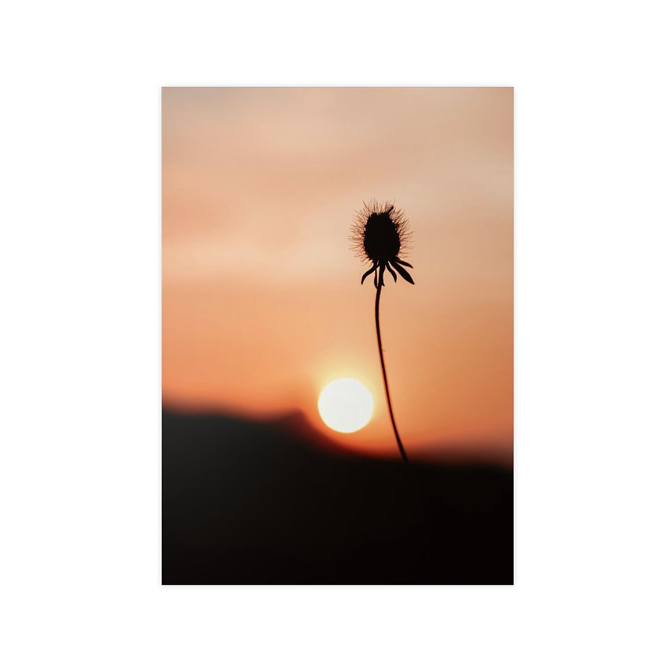 "Sunrise" Photopaper Posters