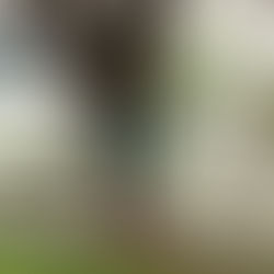 13 DE MAIO - DÊ LEMBRANÇA A TODOS – Claudio Medeiros e Victor Galdino