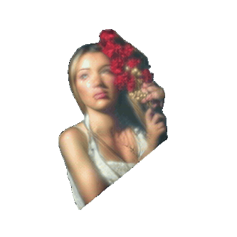 3dgifmaker24164.gif