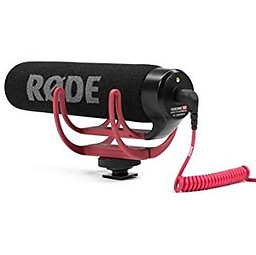 rodemic_edited.jpg