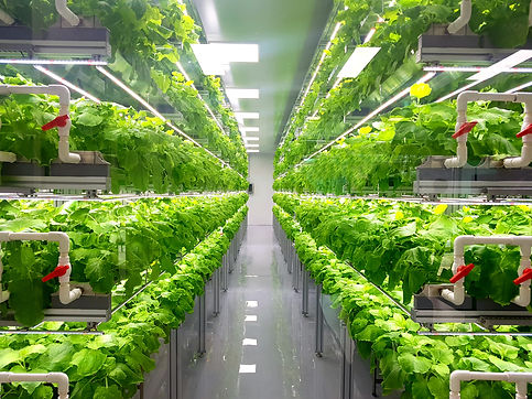 Vertical-Farming-shutterstock_1267972453-27-9-21-1-scaled.jpg