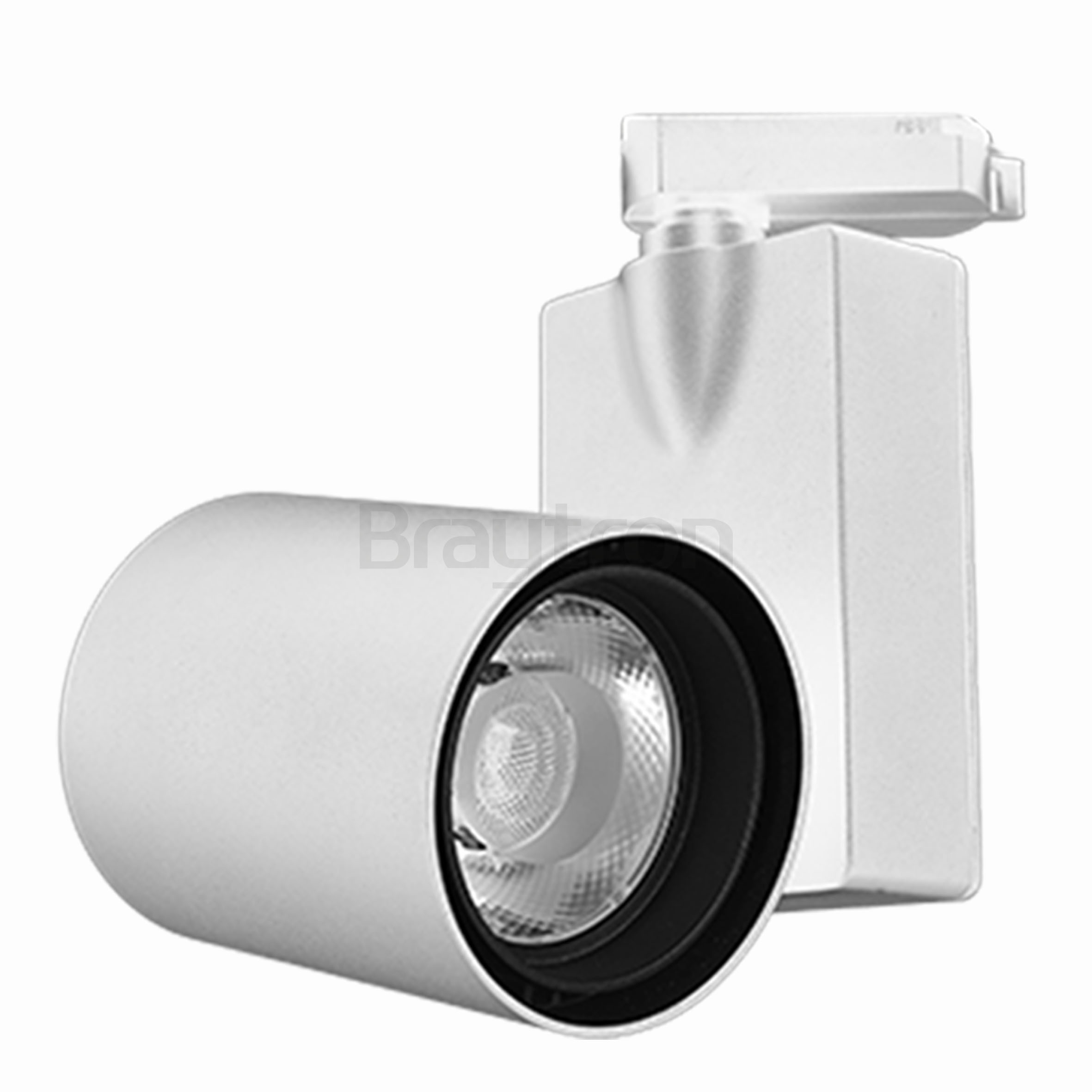 30w Cob Shopline-P Ray Spot Trifaze