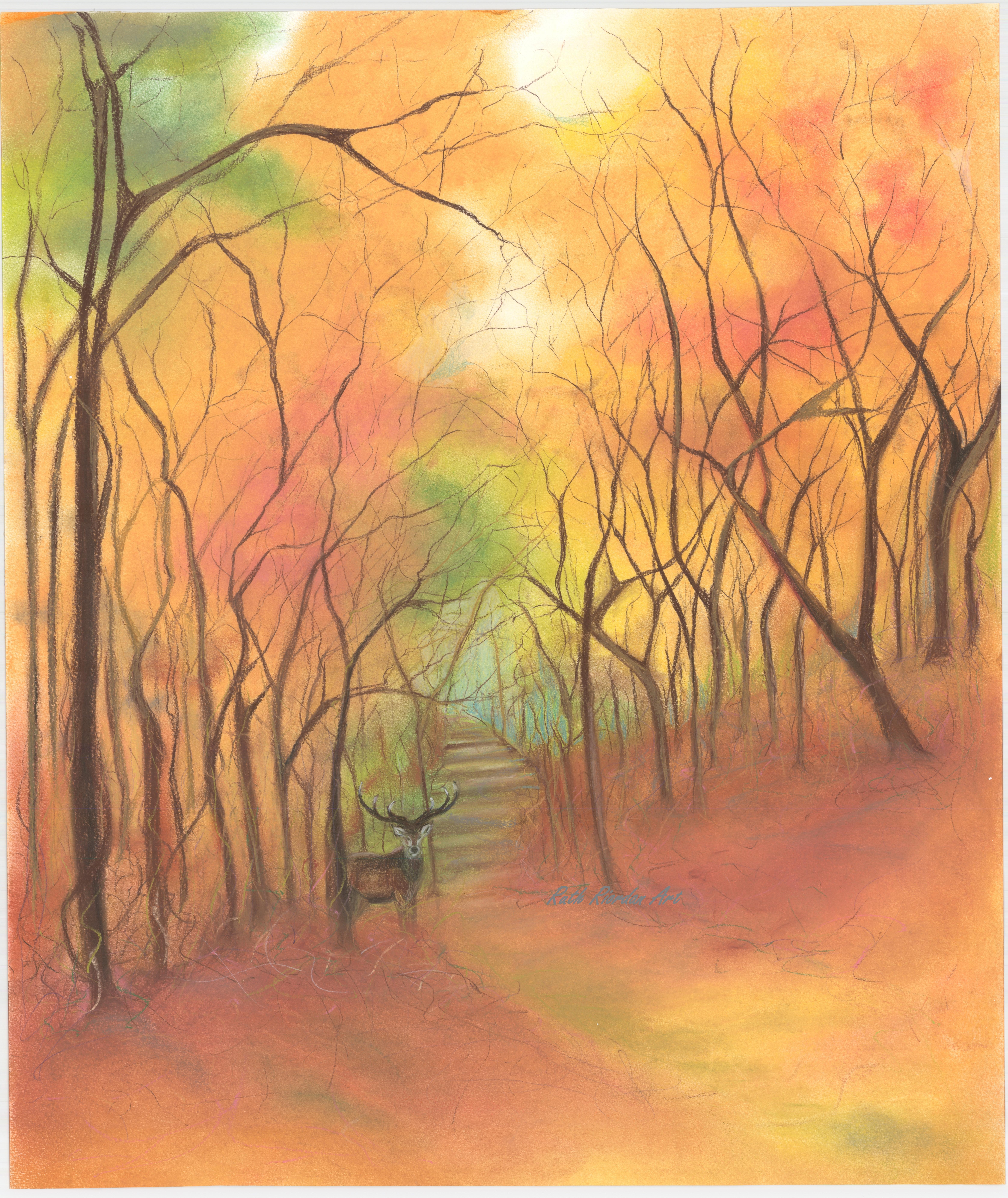 Enchanted Forest