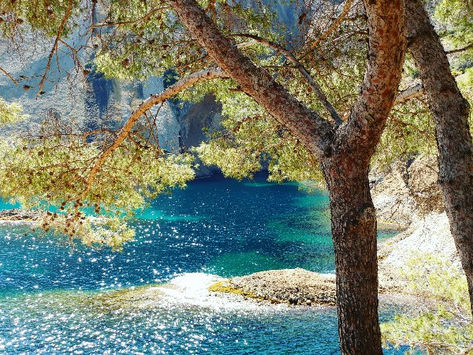 La Calanque du Mugel - La Ciotat