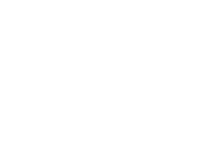 fleur-de-lis-white-200-filtered_1.png