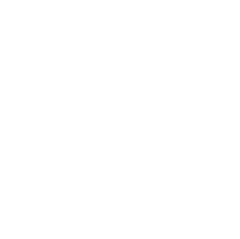 fleur-de-lis-white-200-filtered_1.png