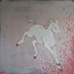 Foal. 2024
