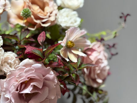 Gifts from 2025 and Gratitude