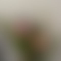 Tea with Rosemary; a late Spring workshop