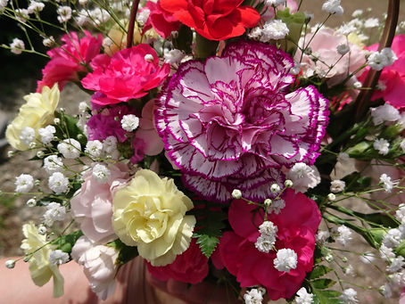 Potted flower arrangements