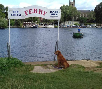 Ferry and dog 3_edited_edited.jpg