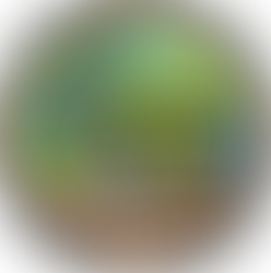 4 The Soil Is Celebrating Earth Week