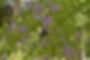 E CopyR.jpg