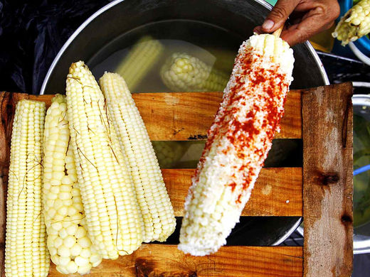 ¡El Elote Preparado: Una Explosión de Sabor Callejero que Conquista Paladares!