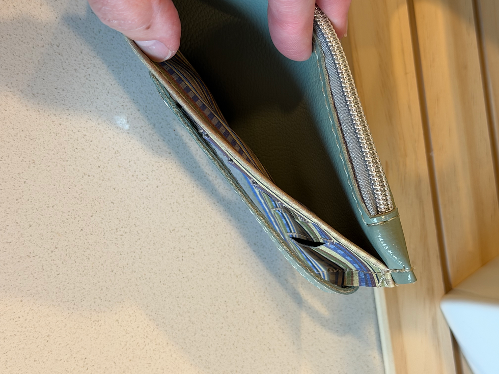 Thumbnail: #455 Purse Pal