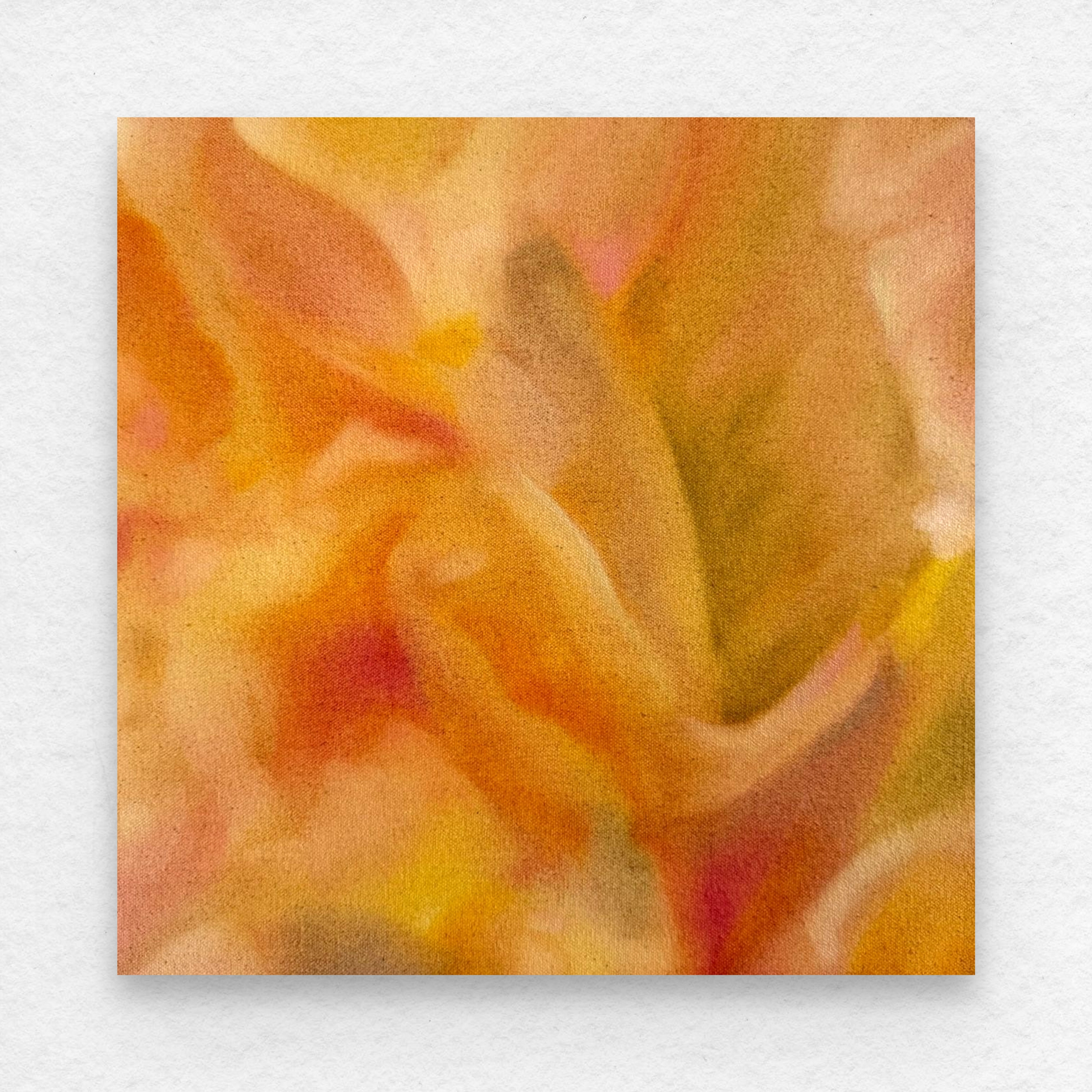 Haze Study 1