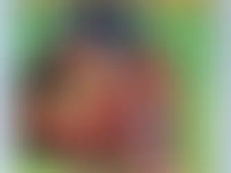 Wolverine 4 (VF-) Miller! 1st SOLO SERIES! Showdown vs Shingen 1982 Marvel Comics