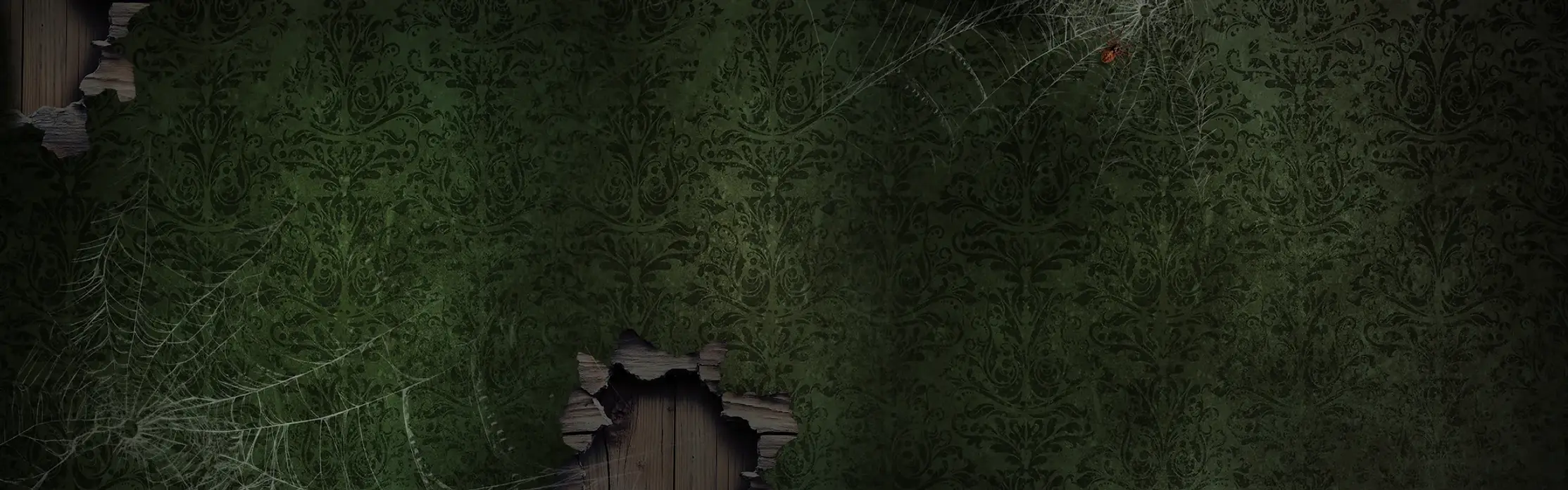 BG-static-in-the-attic